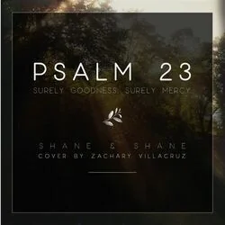 Psalm 23 Surely Goodness Surely Mercy Bass Tab by Shane & Shane