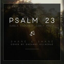 Psalm 23 Surely Goodness Surely Mercy Bass Tab by Shane & Shane