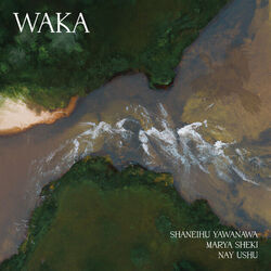 Assim Koe Chords by Shaneihu Yawanawa
