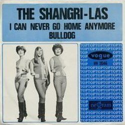 Bull Dog Chords by The Shangri-las