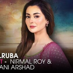 Dilruba Chords by Shani Arshad