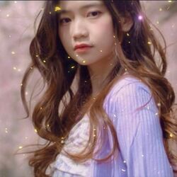 Disco Nap Chords by Shania Yan