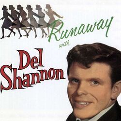 He Doesn't Care Chords by Del Shannon
