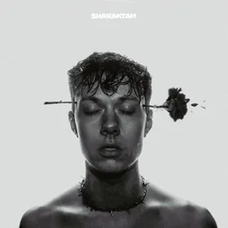 Schwarze Rosen by Sharaktah