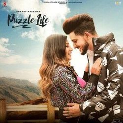 Puzzle Life Chords by Sharry Hasan