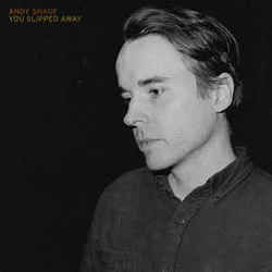 You Slipped Away Chords by Andy Shauf