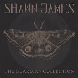 The Guardian Ellies Song Tab by Shawn James