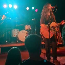 Bad Moon Rising Chords by Shawn James