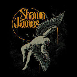 Icarus Chords by Shawn James