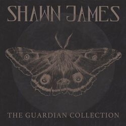 The Deserts Lullaby by Shawn James