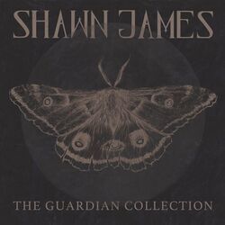 The Deserts Lullaby Tab by Shawn James