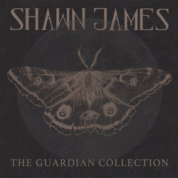 The Guardian (ellies Song) by Shawn James