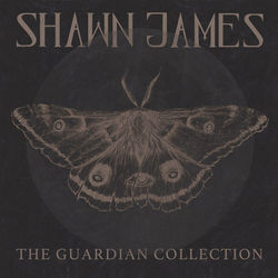 The Guardian Ellies Song Tab by Shawn James