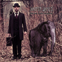 Grind My Bones Chords by Shayfer James