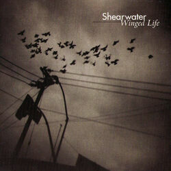 A Hush Ukulele Chords by Shearwater
