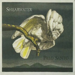 Sing Little Birdie Ukulele by Shearwater