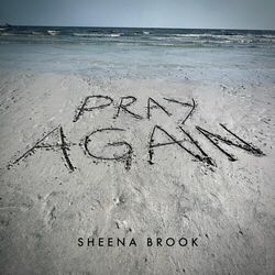Pray Again Chords by Sheena Brook