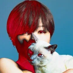 Frdp Bass Tab by Sheena Ringo