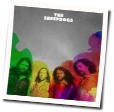 Alright Ok Chords by The Sheepdogs