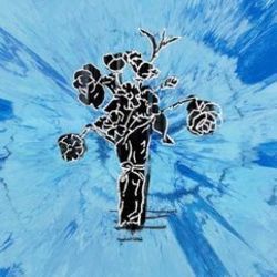 Supermarket Flowers Tabs by Ed Sheeran
