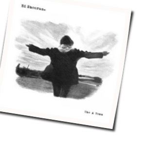 The A Team   Chords by Ed Sheeran