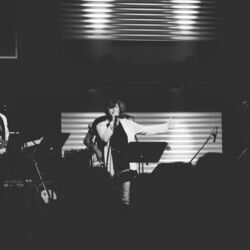 The Dawn Chorus Chords by The Shelter