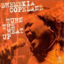 Salt In My Wounds Chords by Shemekia Copeland