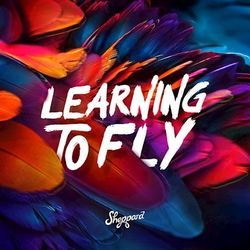 Learning To Fly Chords by Sheppard