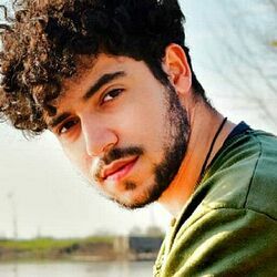 Baraye Chords by Shervin Hajipour