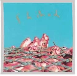 Home Again Bass Tab by Shihad