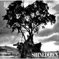 Soon Forgotten Tab by Shinedown