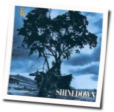 Lost In The Crowd Chords by Shinedown