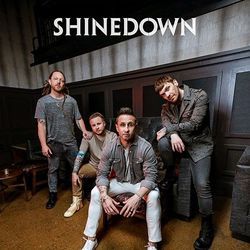 Sure Is Fun Ukulele by Shinedown