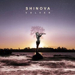 Volver Chords by Shinova