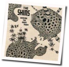 The Past And Pending Chords by The Shins