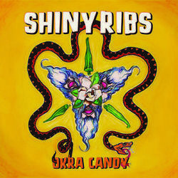 Upsetter by Shinyribs