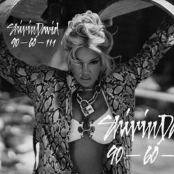 90-60-111 Chords by Shirin David