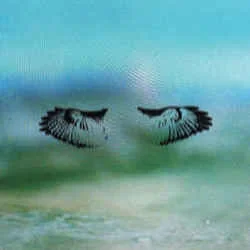 Tork Sport Tab by Shoes And Socks Off