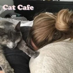 Cat Cafe Chords by Shoffy