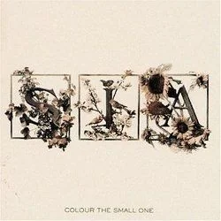 Broken Biscuit Chords by Sia