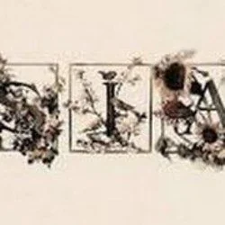 Sweet Potato Ukulele Chords by Sia