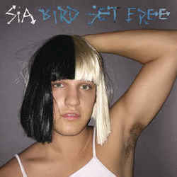 Birds Set Free Chords by Sia