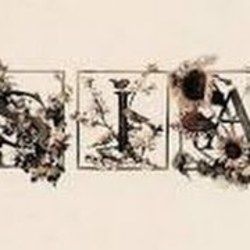Sweet Potato Ukulele Chords by Sia