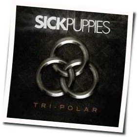 Too Many Words Tab by Sick Puppies