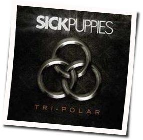 Too Many Words by Sick Puppies