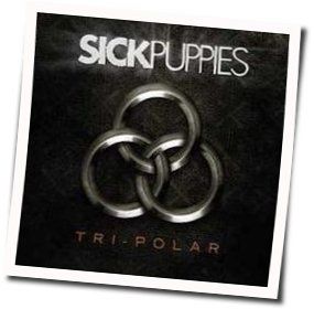 Too Many Words Tab by Sick Puppies