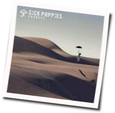 Where Did The Time Go Chords by Sick Puppies