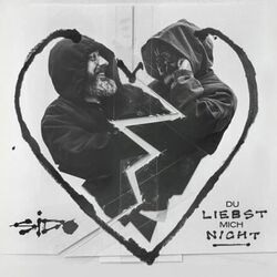 Du Liebst Mich Nicht Chords by Sido