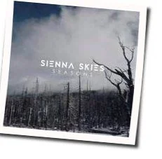 Even Stronger Acoustic Chords by Sienna Skies