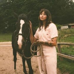 Better Wild Chords by Sierra Spirit